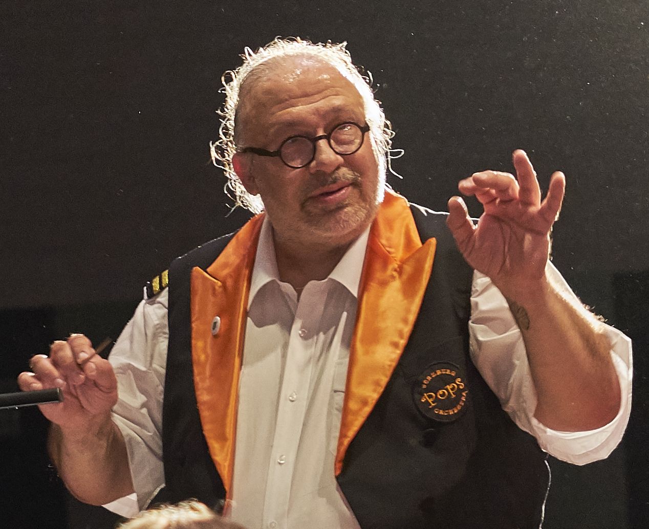 picture of conductor